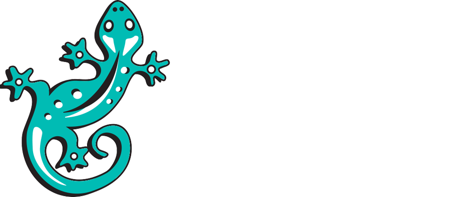 Gifted And Talented Program - Gifted And Talented Program (913x395)