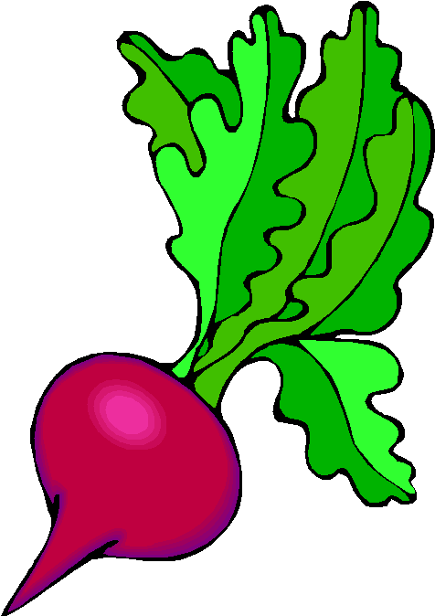 Mango Clipart Buah Buahan - Beet (490x684)