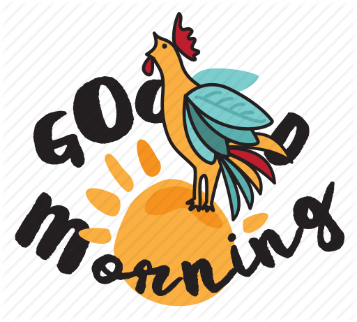 Morning Chicken Icon (512x461)