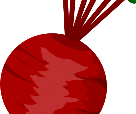 Beetroot Clipart Edible Root - Beet Clipart (640x480)