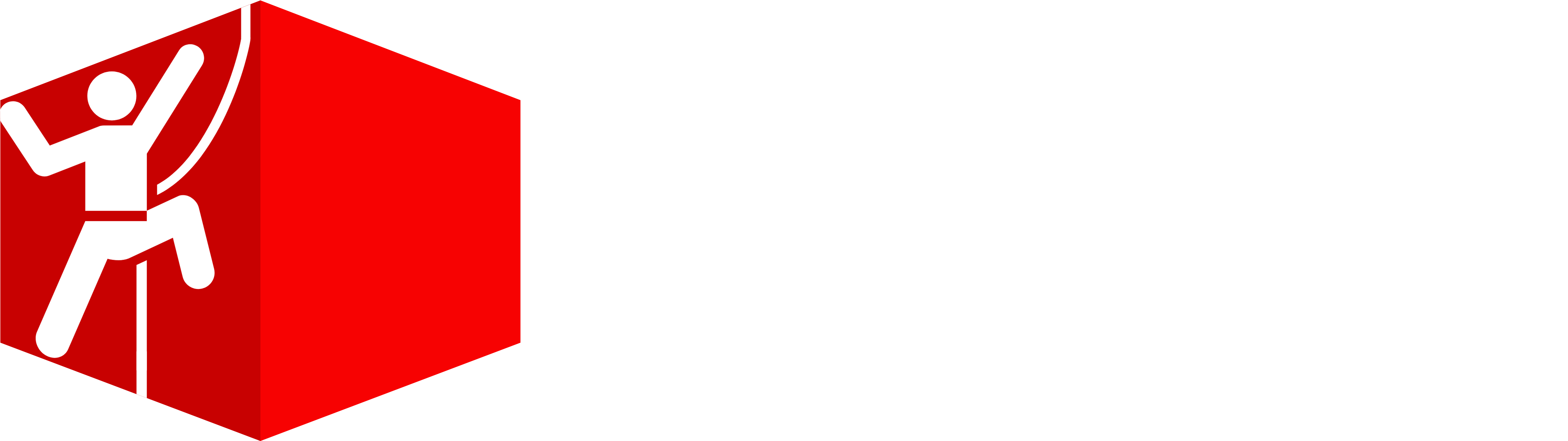 Top Access Solutions - Top Access Solutions (4327x1245)