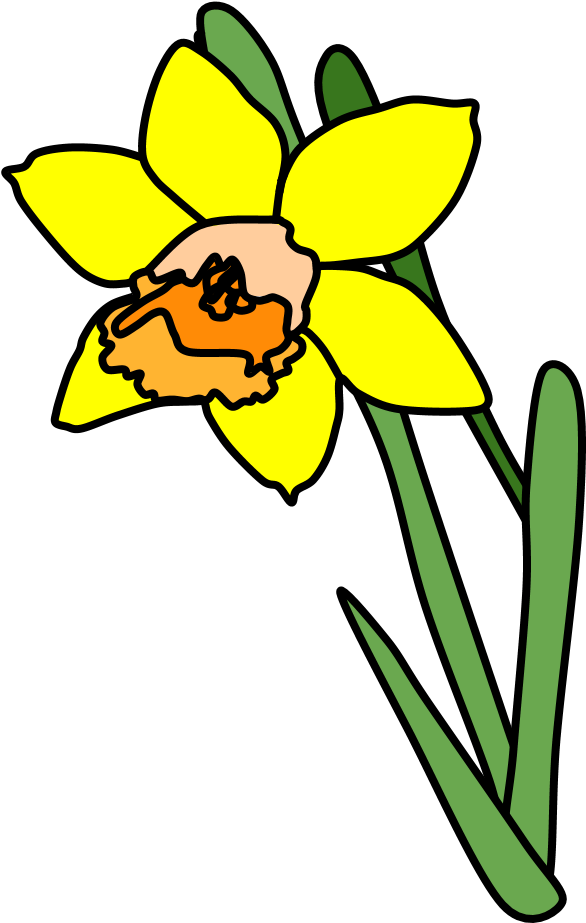 Daffodil, Yellow, Orange - Daffodil, Yellow, Orange (816x1056)