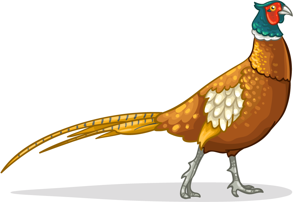 Pheasant Icon (1024x1024)