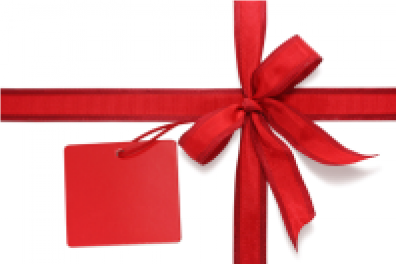 Perfect Gift For The Holidays (800x800)