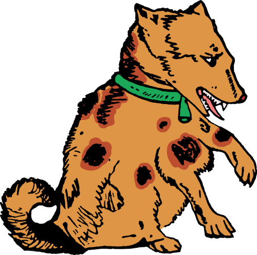 Dog (500x497)