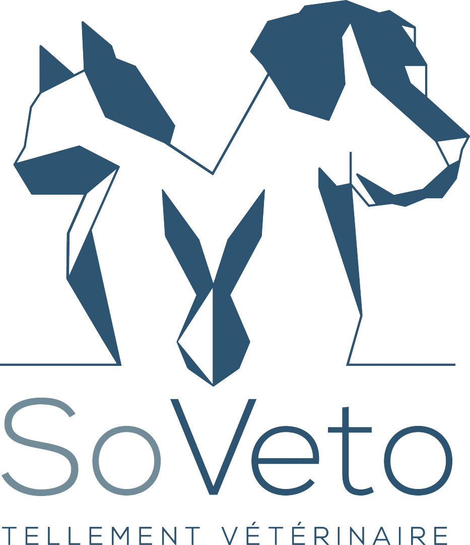 So Veto - Sos Ciné (933x1080)