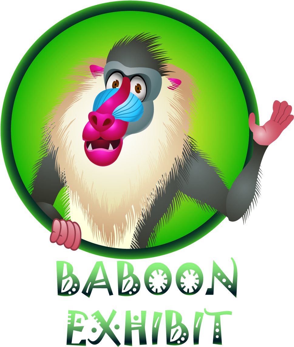 Baboon Cartoon In Frame (990x1156)