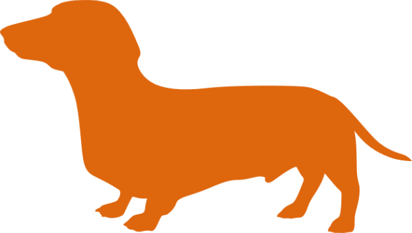 600 X 340 2 - Dachshund (600x340)
