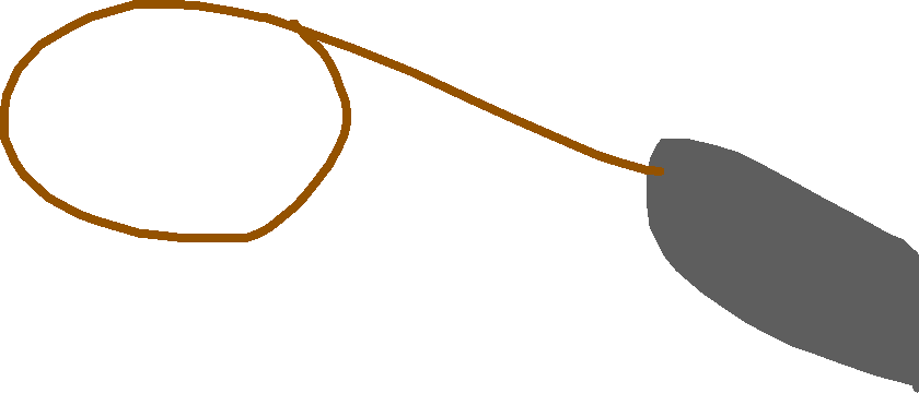 Drawing - Lasso - Drawing - Lasso (840x360)