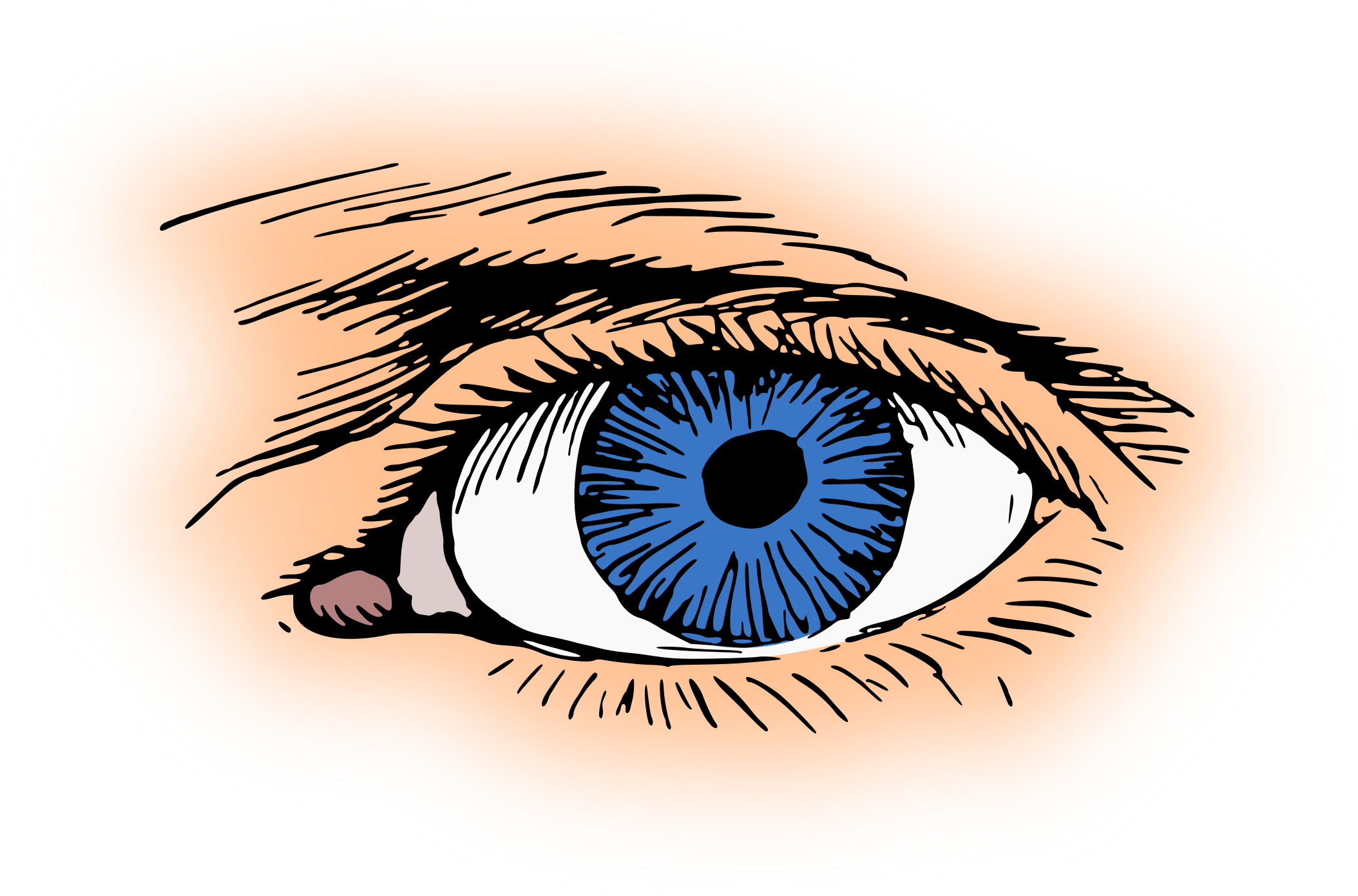 Eye Color Iris Pupil Visual Perception - Eye Color Iris Pupil Visual Perception (2108x1391)