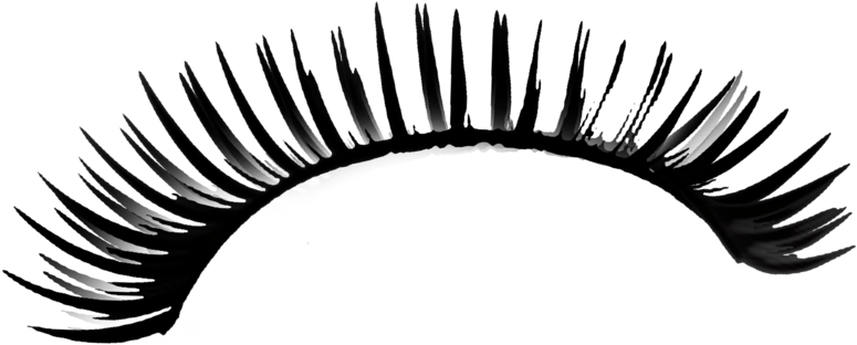 Eye Lash Png (1024x746)
