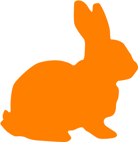 Rabbit Silhouette Orange (594x599)