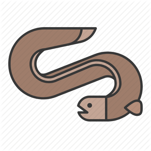 512 X 512 2 - 512 X 512 2 (512x512)