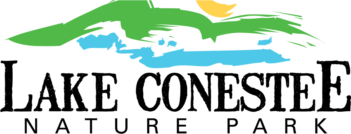 Gallery - Gallery (1141x447)