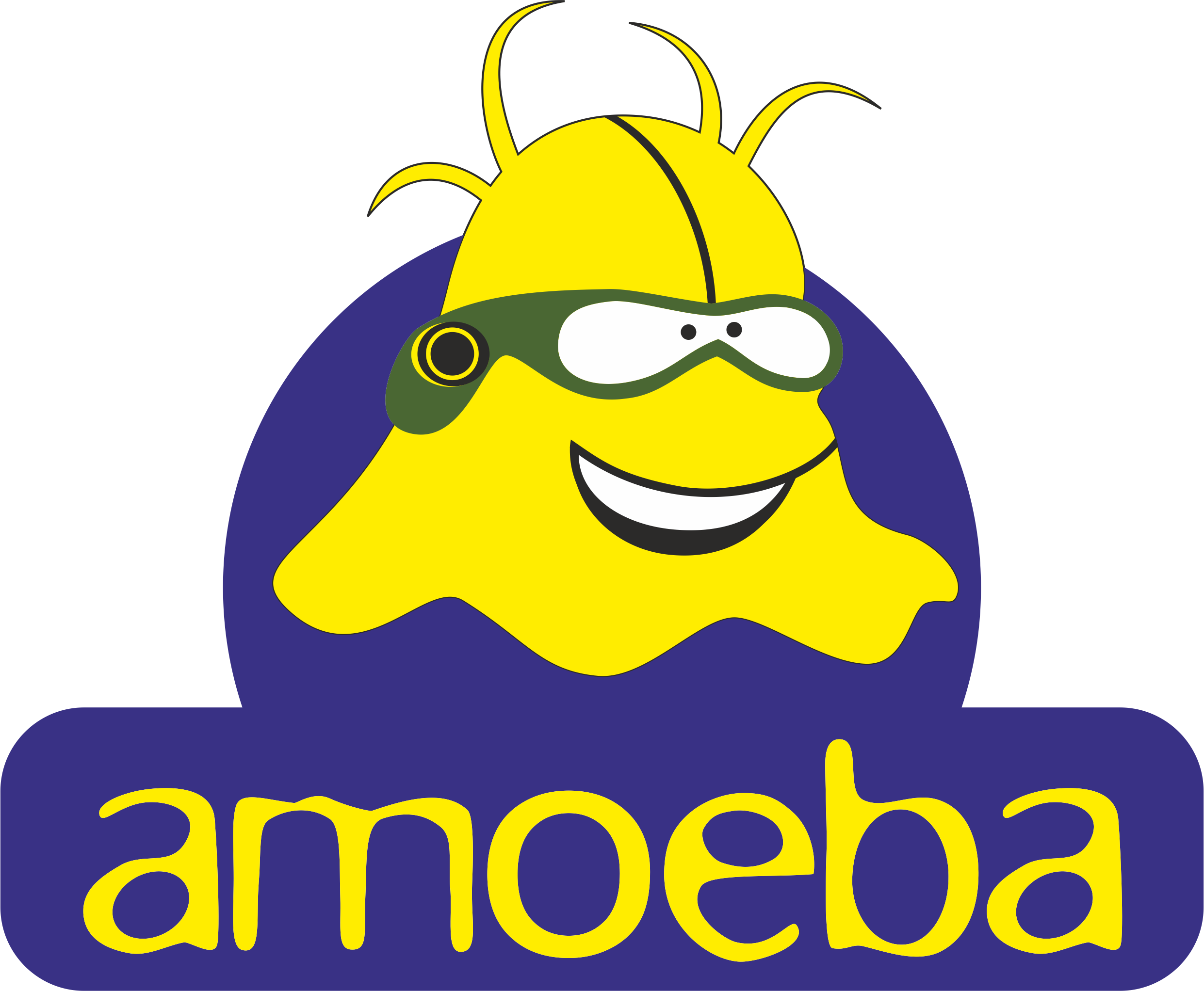 Amoeba Bangalore (2482x2044)