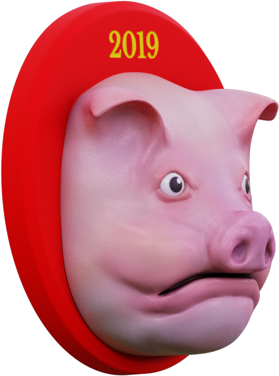 Domestic Pig (1024x1024)
