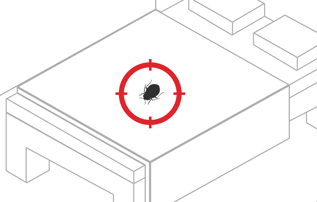 Bed Bug Exterminator With Proactive, Bed Bugs Are Eliminated - Bed Bug Exterminator With Proactive, Bed Bugs Are Eliminated (1296x828)