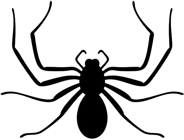 Tidewater Pest Control - Insect (733x733)