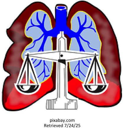 Ac#base Balance - Lungs Clip Art (420x445)