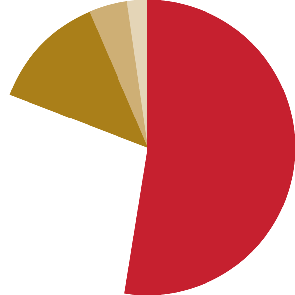 Pie Chart - Pie Chart (600x600)