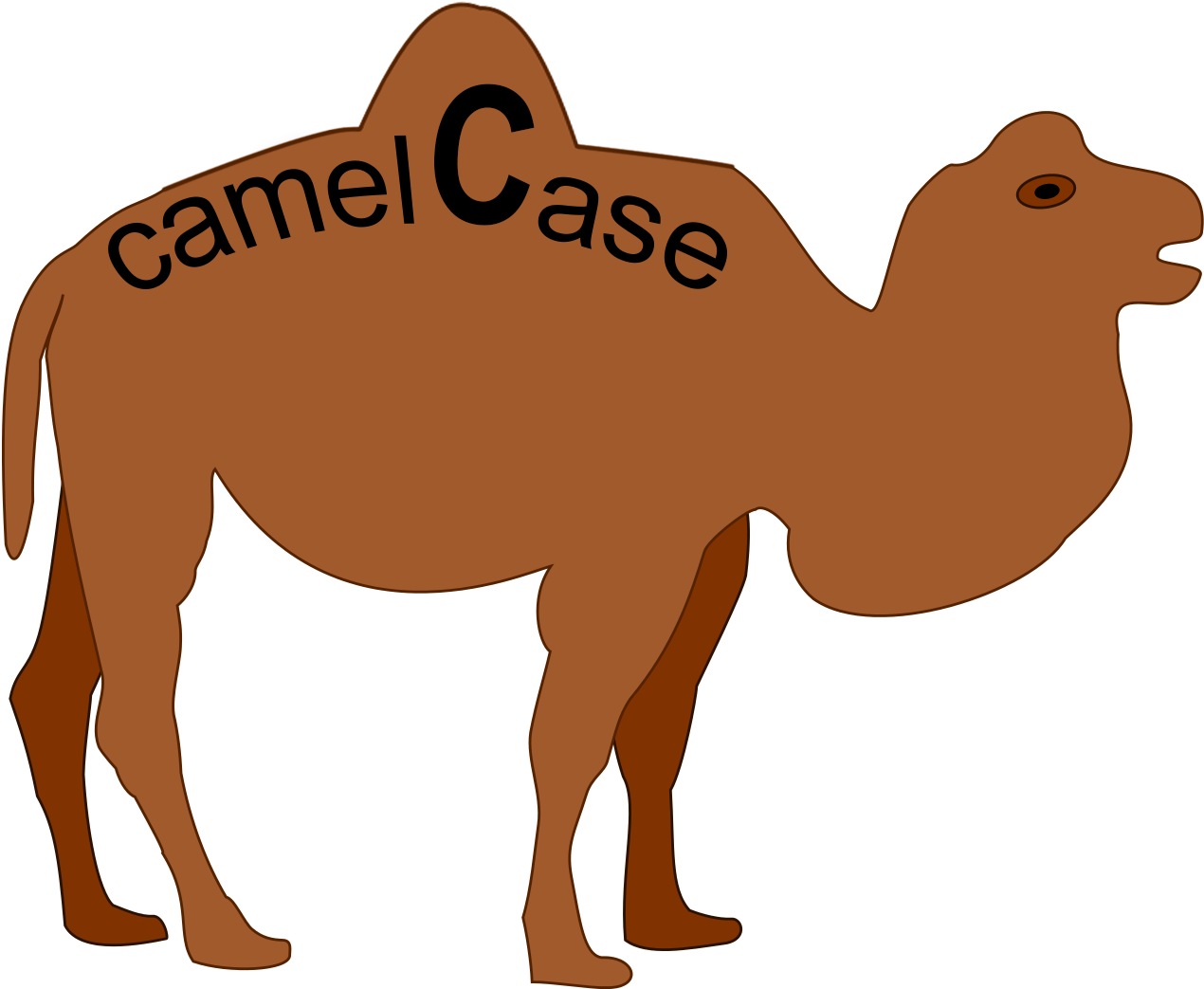 Camel Casing (1280x1057)