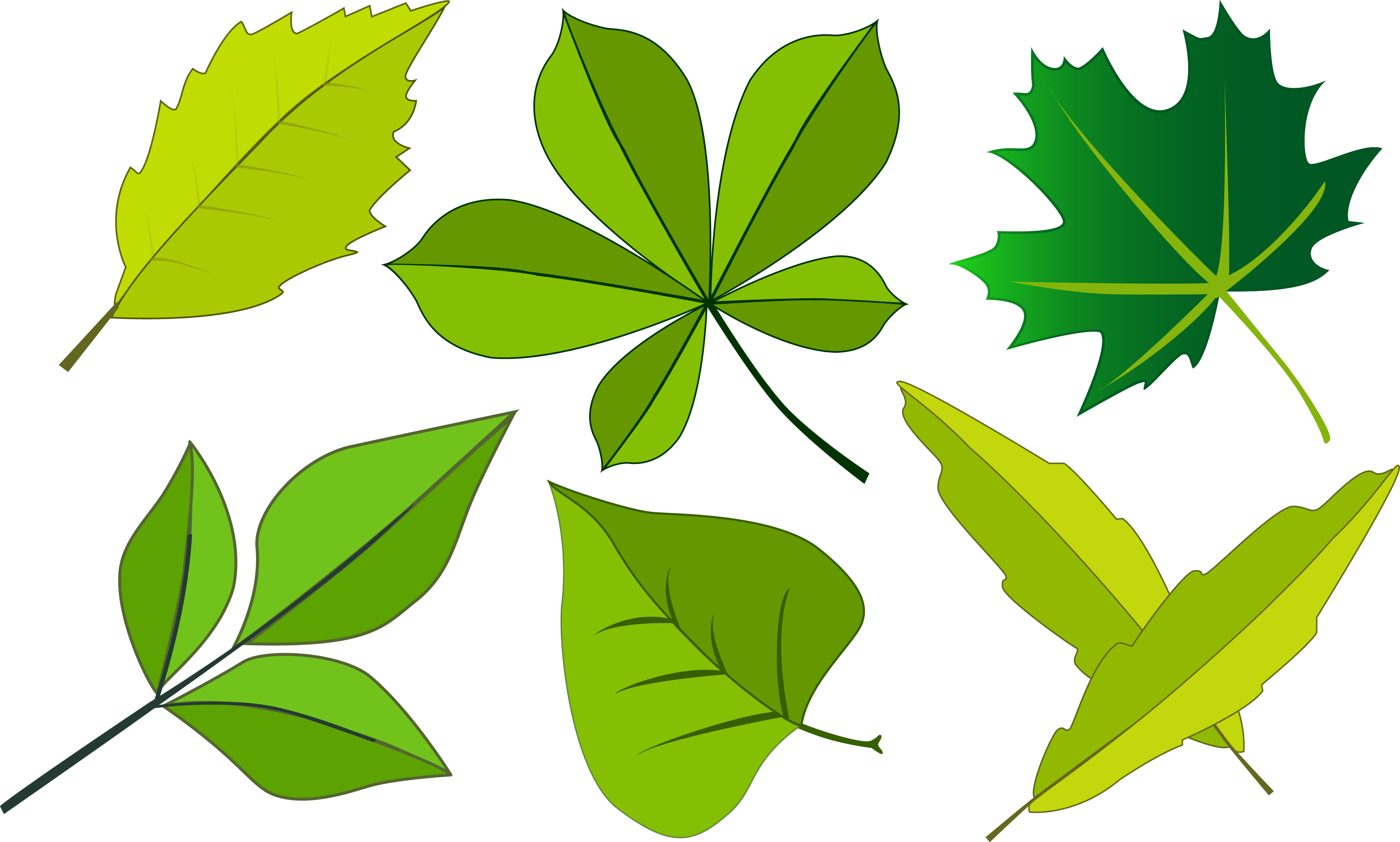 Trees - Theme Leaf Png (4128x2483)
