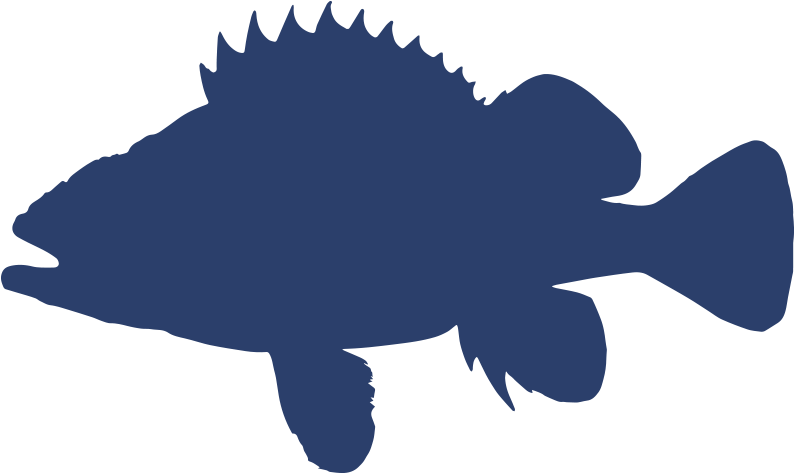 100 - Rockfishes (800x472)