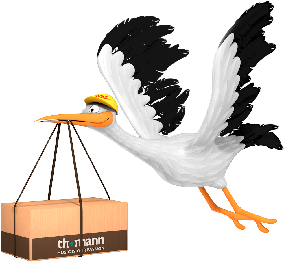 White Pelican (1000x1000)