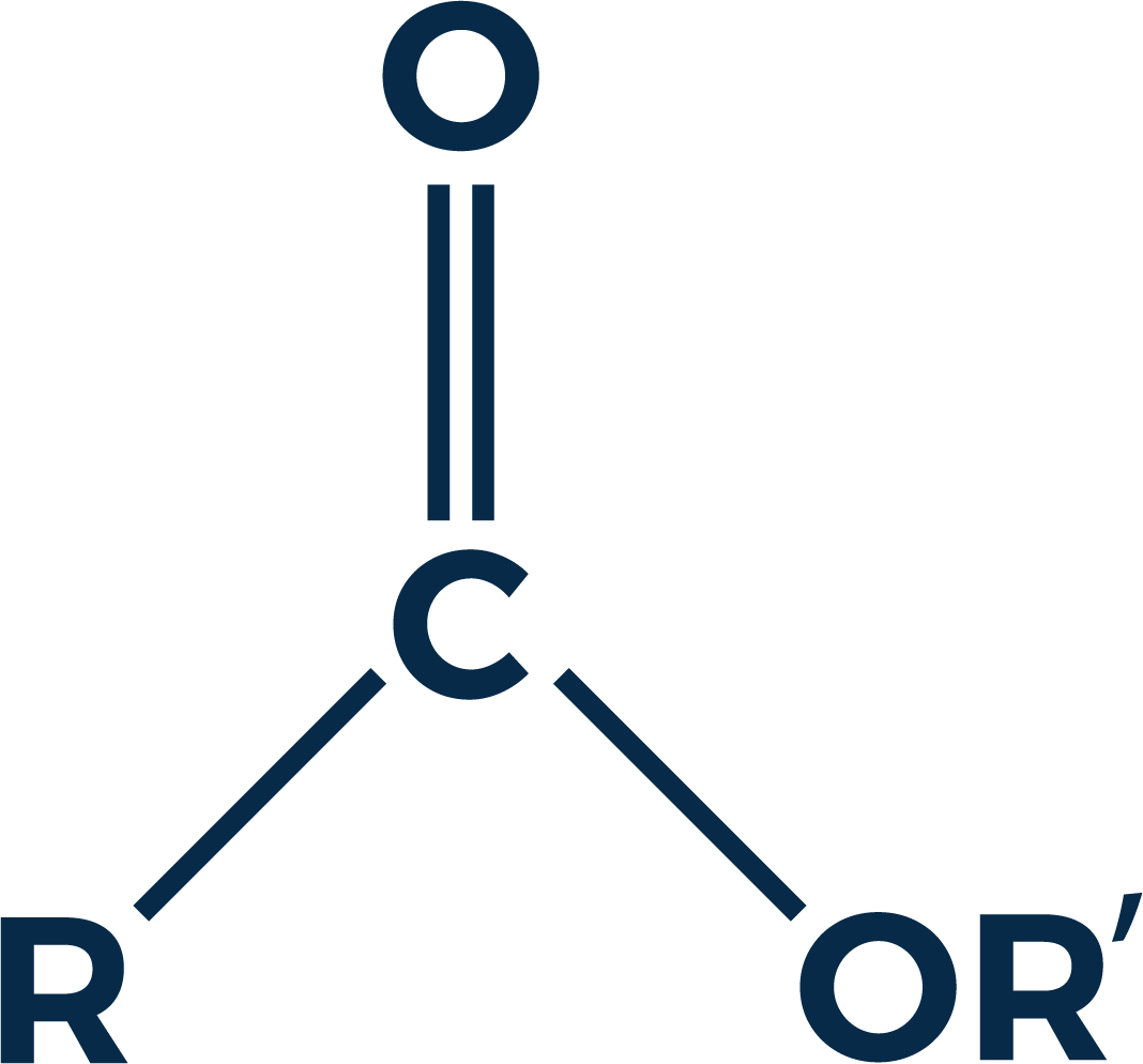 Ester - Ester (1068x994)