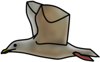 Duck (620x420)
