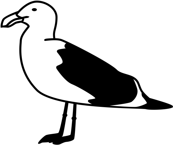 Duck (600x600)
