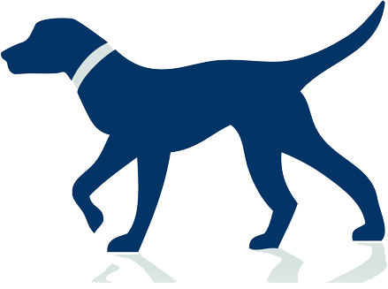 Dog (439x327)