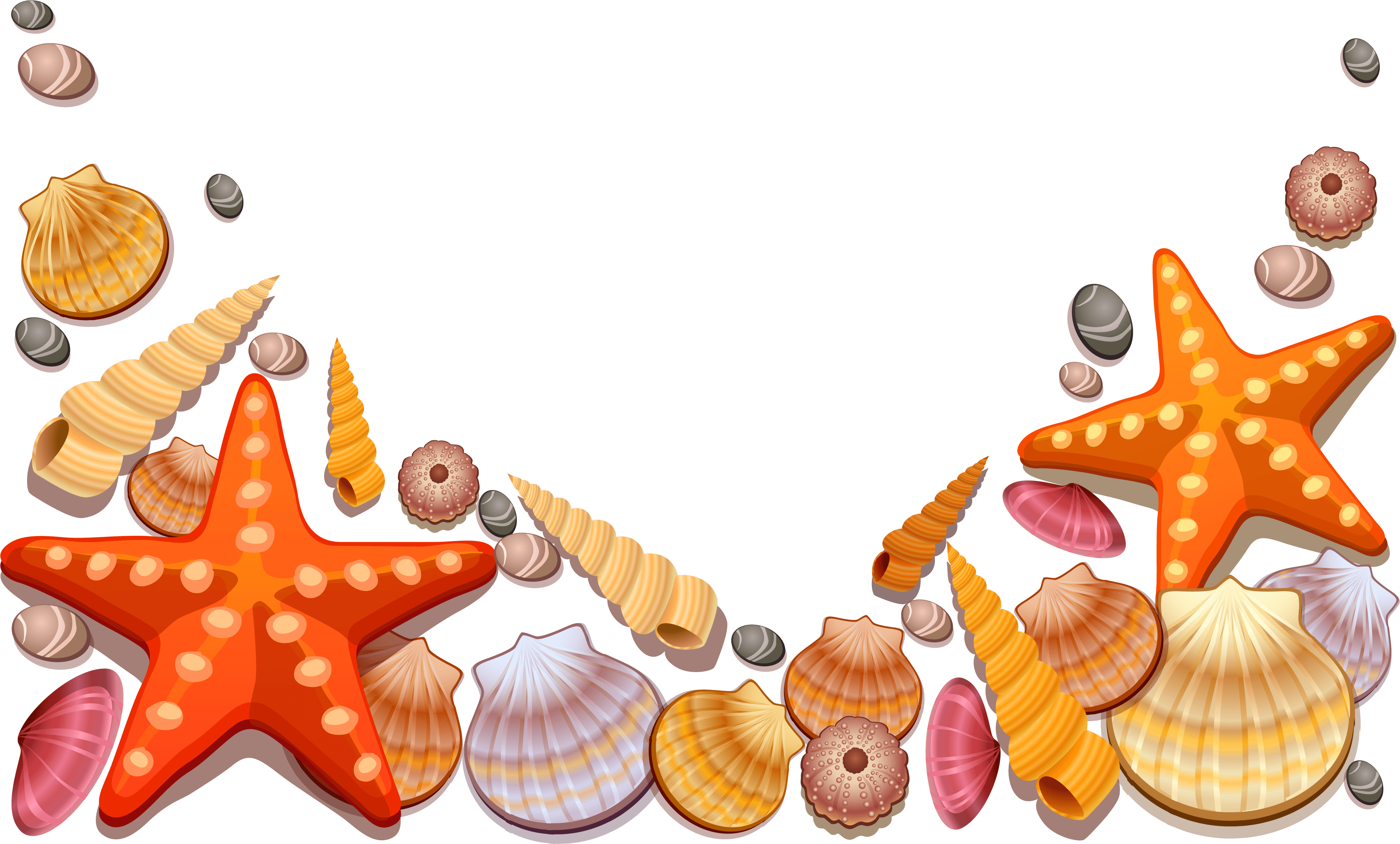 Sea Shells Vector Png (4242x2645)