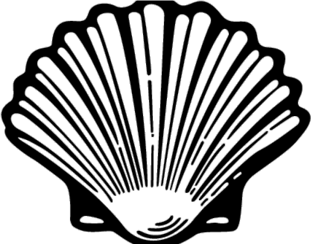Shell Clipart Oyster Shell - Oyster Shell Clip Art (640x480)