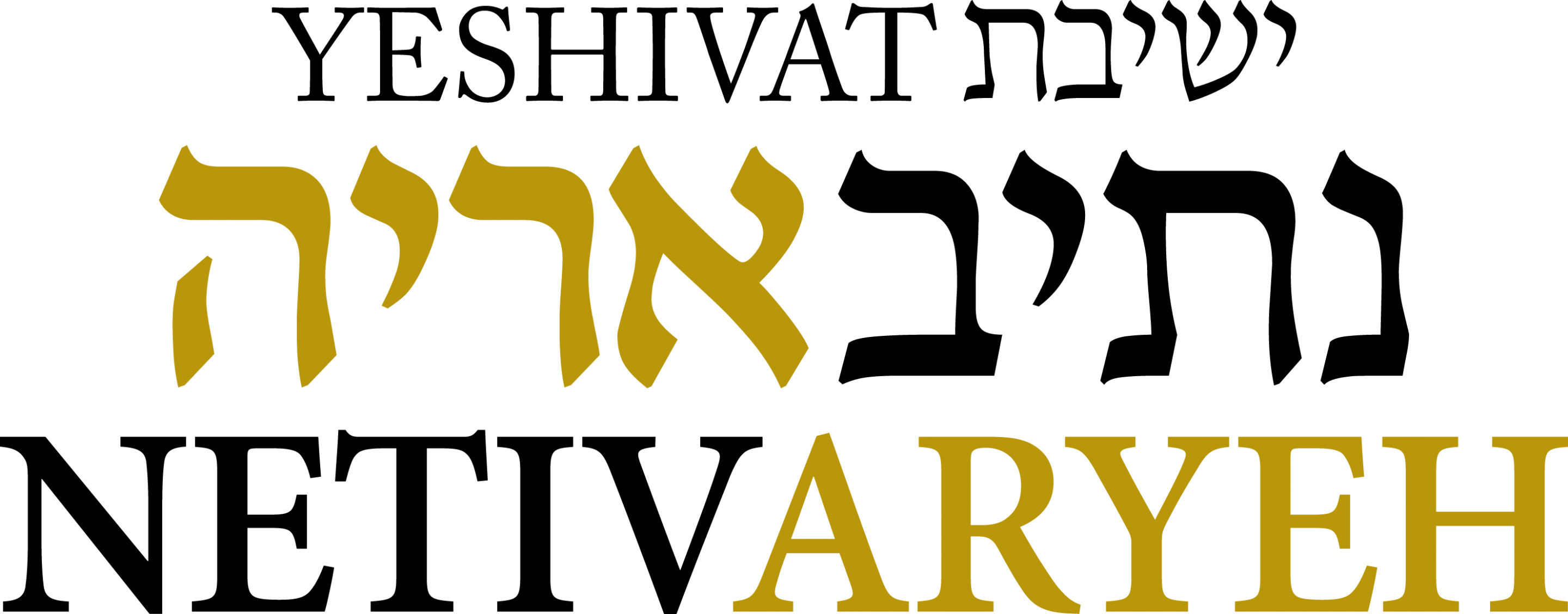 Logo - New Western Acquisitions Logo (2880x1128)