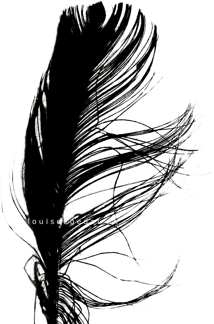 Feather Art Print - Sketch (940x1330)