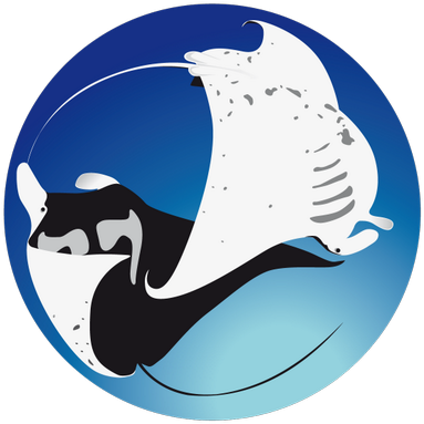 Project Manta - Project Manta (400x400)