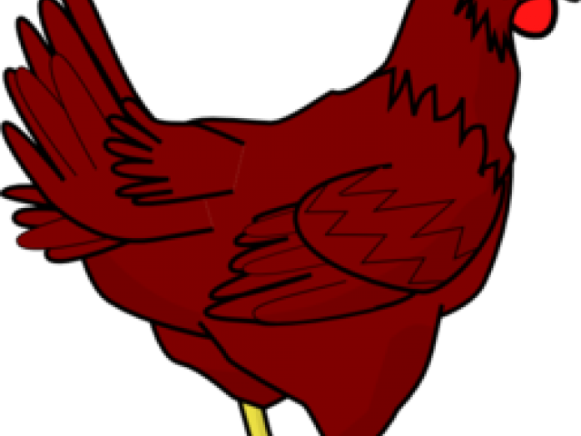 Transparent Background Hen Clipart (640x480)