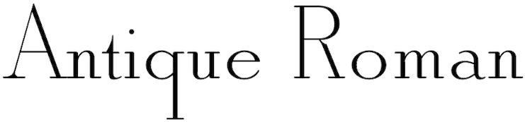 Solid Antique Roman Font - Nanette Lepore (790x216)