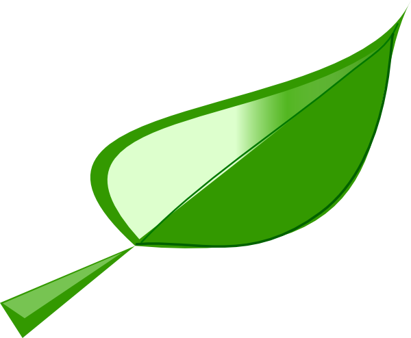 Bamboo Leaves Clipart (600x494)