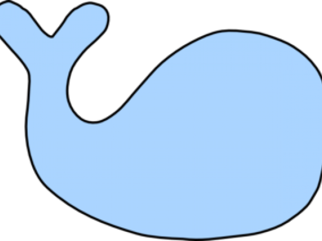 Shape Of A Whale (640x480)