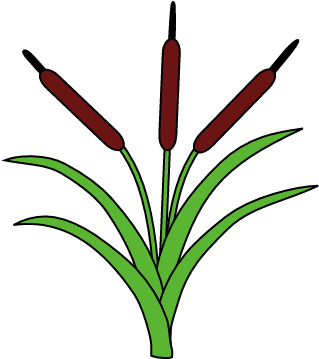 Bulrush - Heraldique Joncs (480x360)
