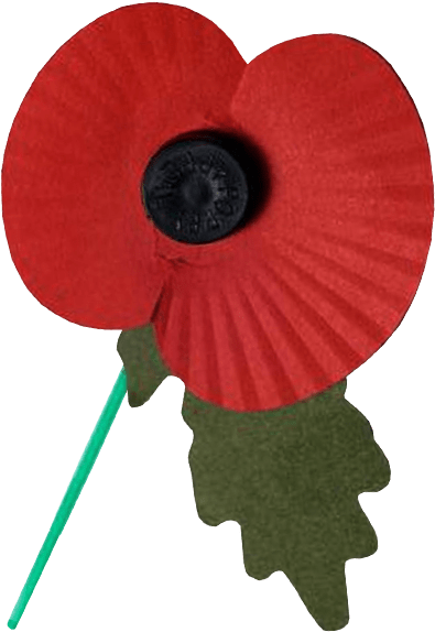 Poppy With No Background (500x600)