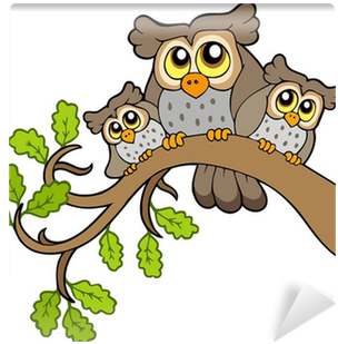 Cute Owls (400x400)