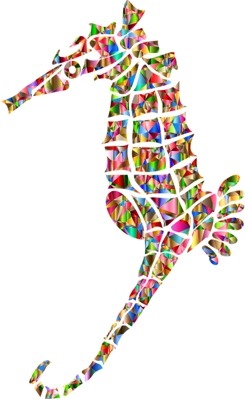 Poly,polygon,abstract - Seahorse (500x815)