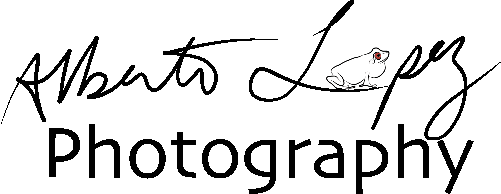 Alberto Lopez - Photography (1000x449)