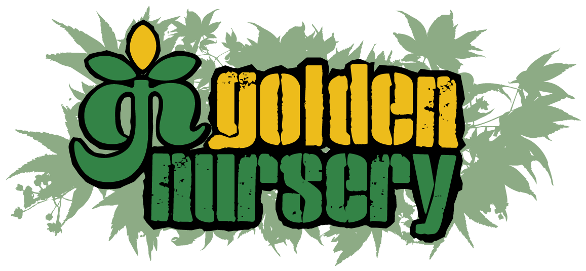 Nursery Clipart Sup - Illustration (1260x640)