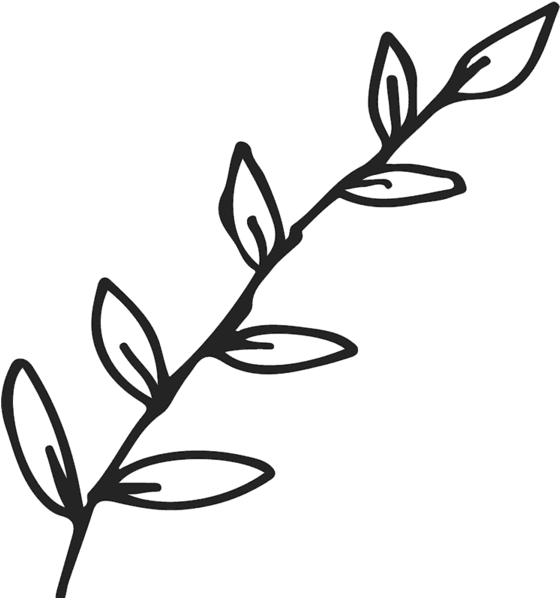 Leaf Branch Outline Png (600x600)