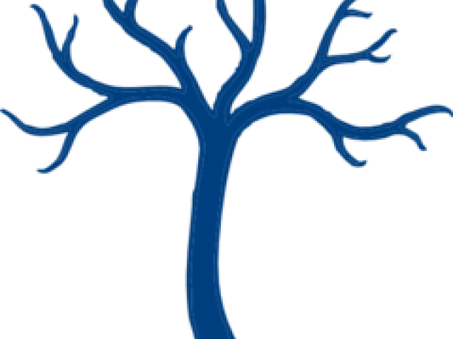 Dead Tree Clipart Twisted - Blank Tree With Branches (640x480)