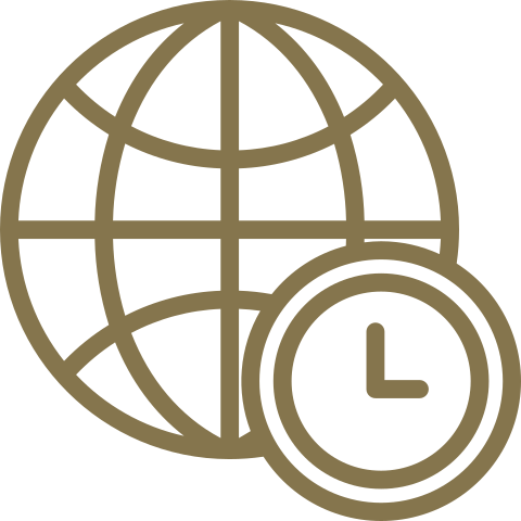 Test Infographic - Globe Vector (480x480)